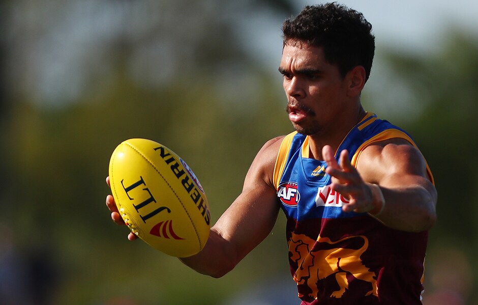 web jlt preview 2019lionscharlie.jpg